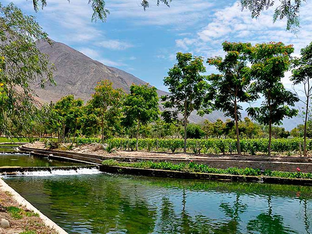 Guizado Portillo Hacienda & Resort Lunahuaná Kültér fotó