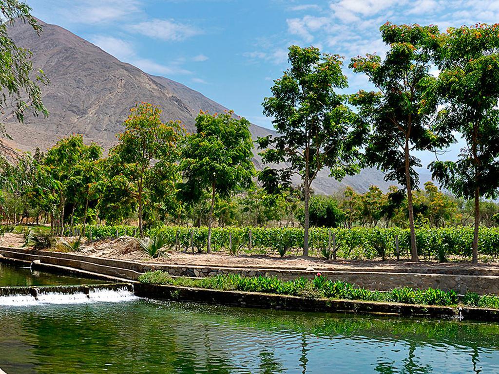 Guizado Portillo Hacienda & Resort Lunahuaná Kültér fotó